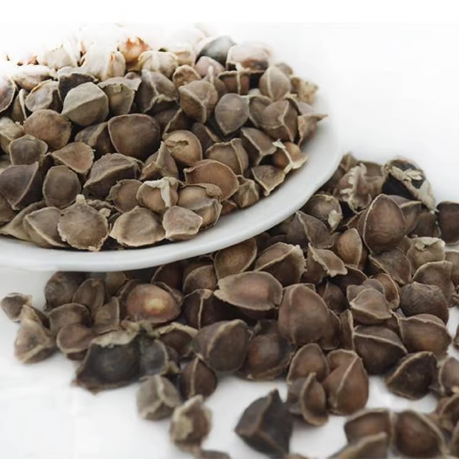 Premium Quality Organic Moringa Seeds