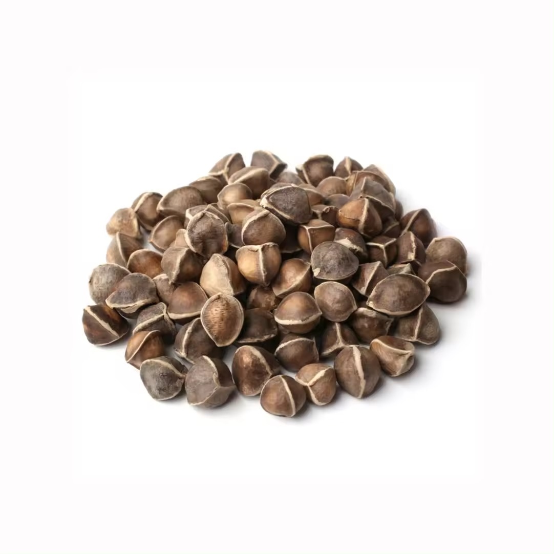 Premium Quality Organic Moringa Seeds - Image 2