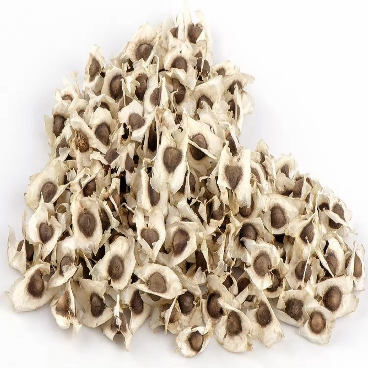 Premium Quality Organic Moringa Seeds - Image 4