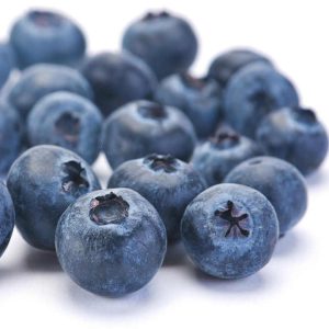 Fresh Newly Harvest Blueberry Fruits