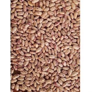 NON-GMO Light Speckled Kidney Beans