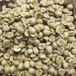 100% Natural Raw Green Robusta Coffee Bean Screen 17 and 18 Standards