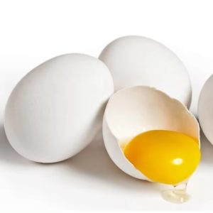 First Grade Fresh Farmed White Chicken Egg