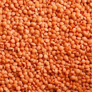 Grade A Whole Red Lentils
