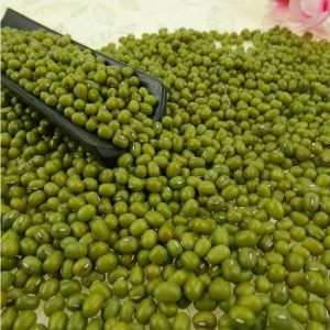 100% Raw Green Mung Bean Grade 1