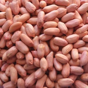 Highly Rich Protein Organic Raw Peanuts/Groundnuts